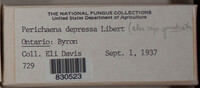 Image Associated With the Occurence